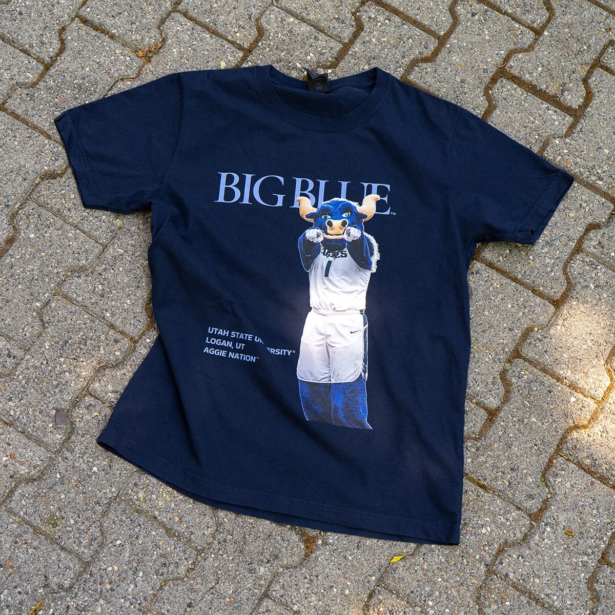 big blue logan utah graphic tee in navy on cement ground
